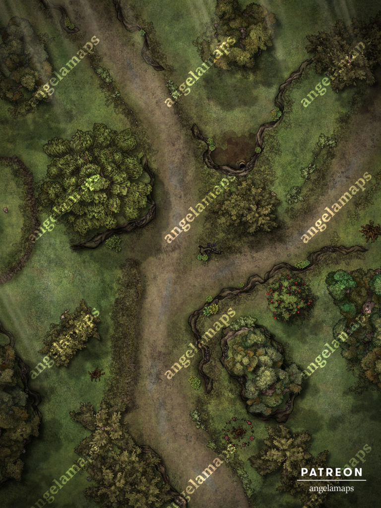 Beautiful crossroads battle map by Angela Maps